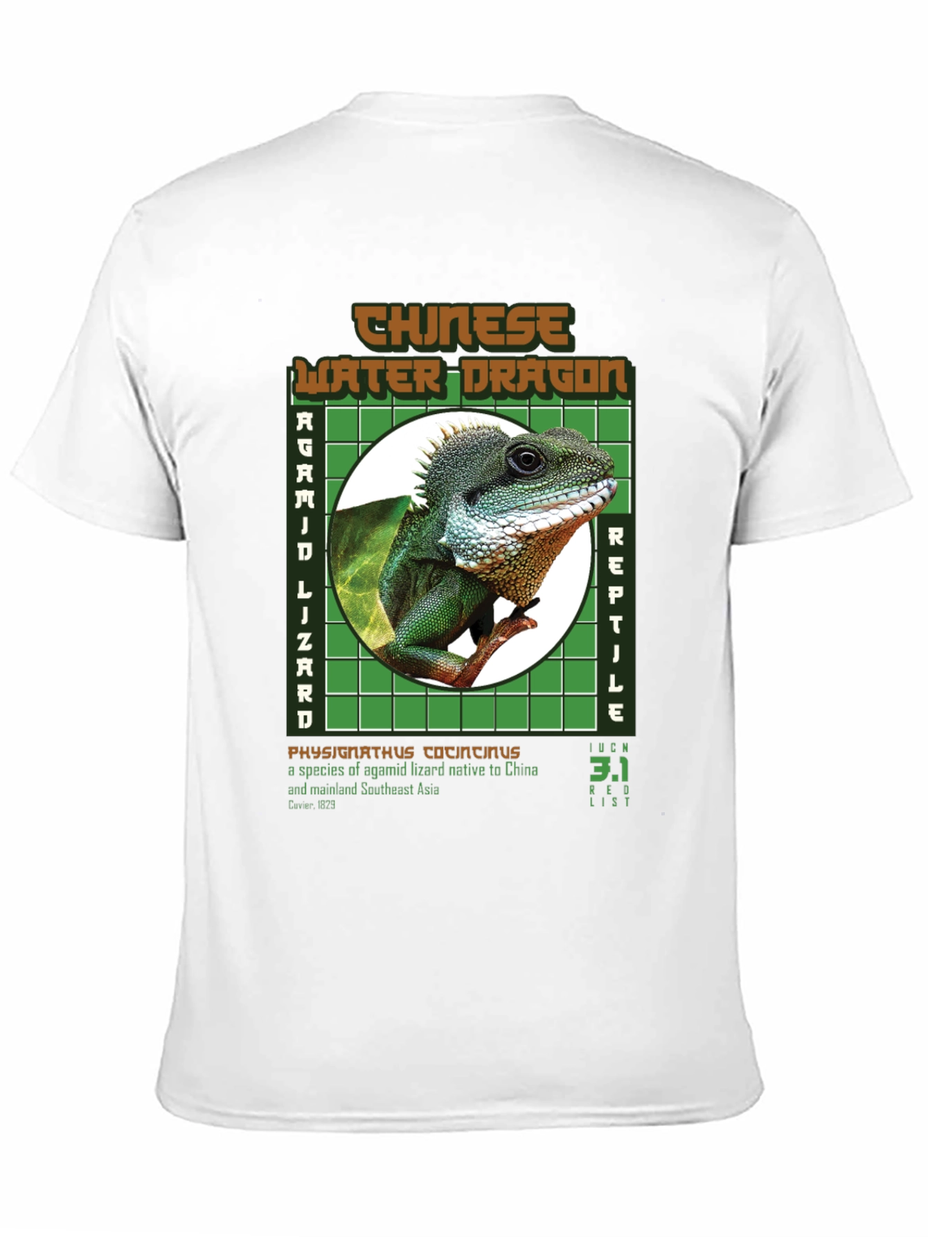 Chinese Water Dragon Graphic Tee