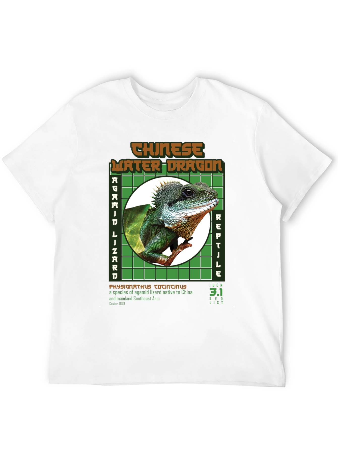 Chinese Water Dragon Graphic Tee