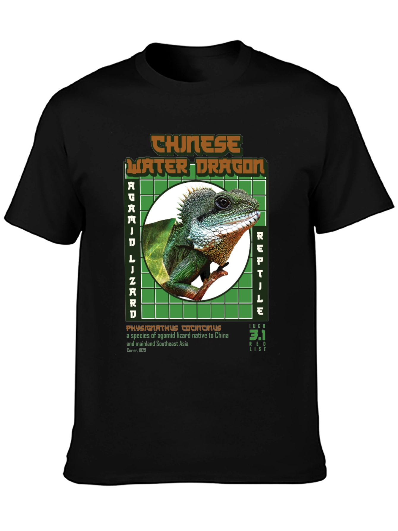 Chinese Water Dragon Graphic Tee