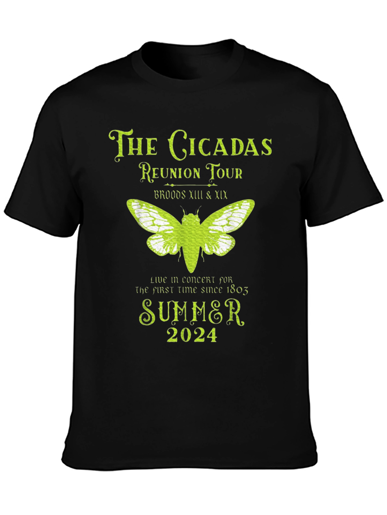 The Cicadas Reunion Tour T-Shirt - Summer 2024