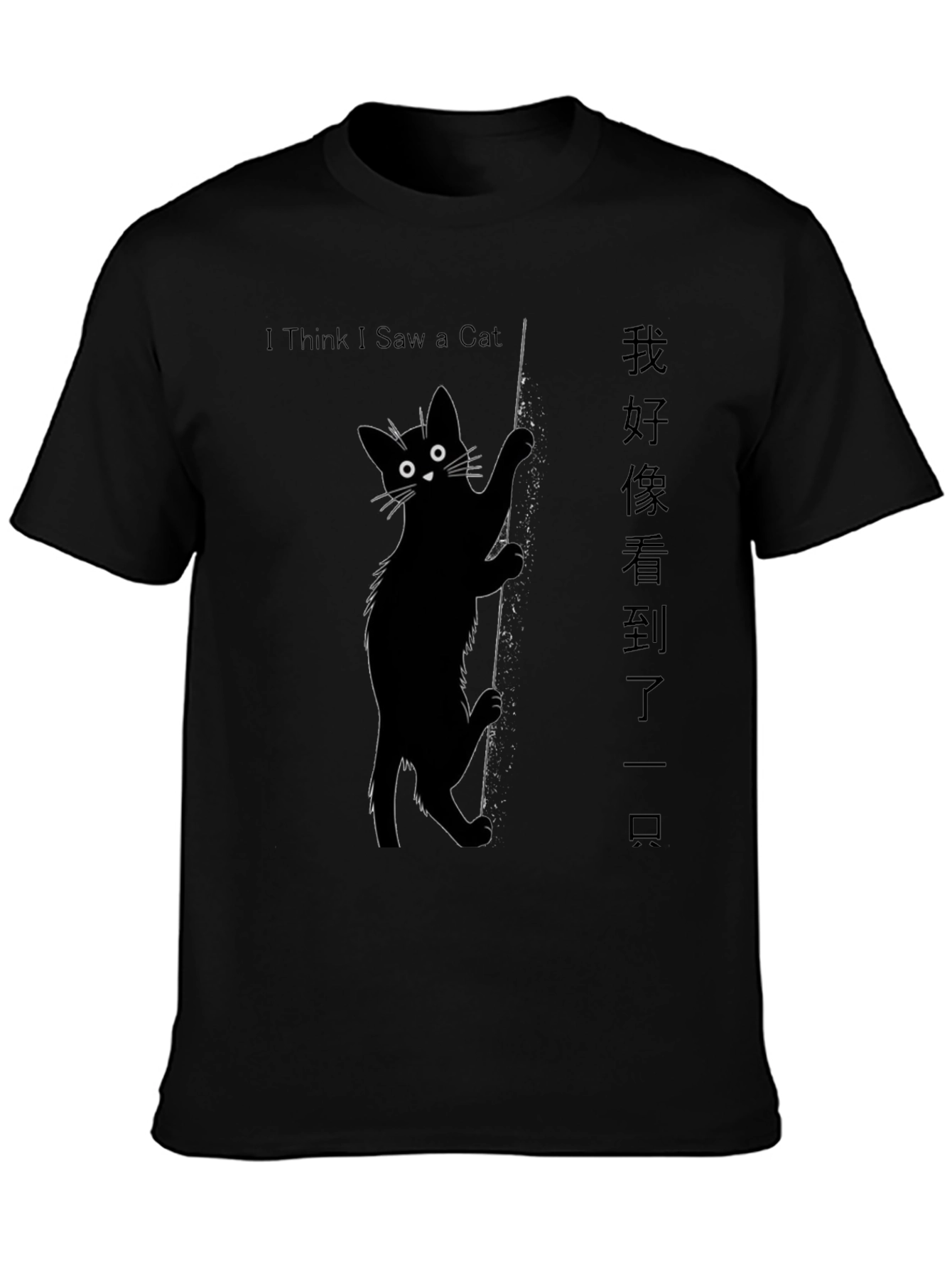 I Think I Saw a Cat T-Shirt