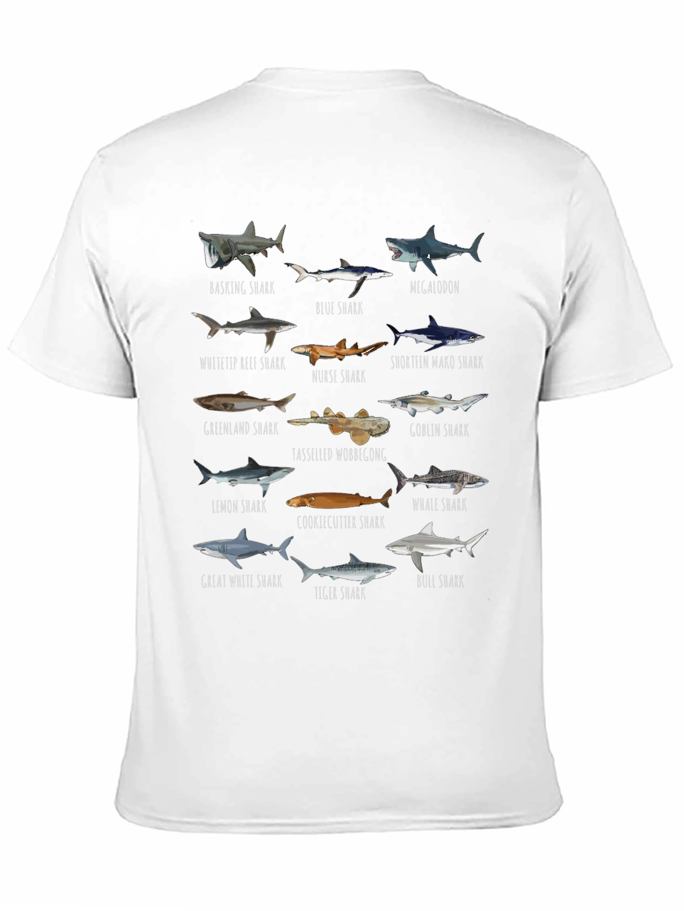 Shark Species Graphic T-Shirt