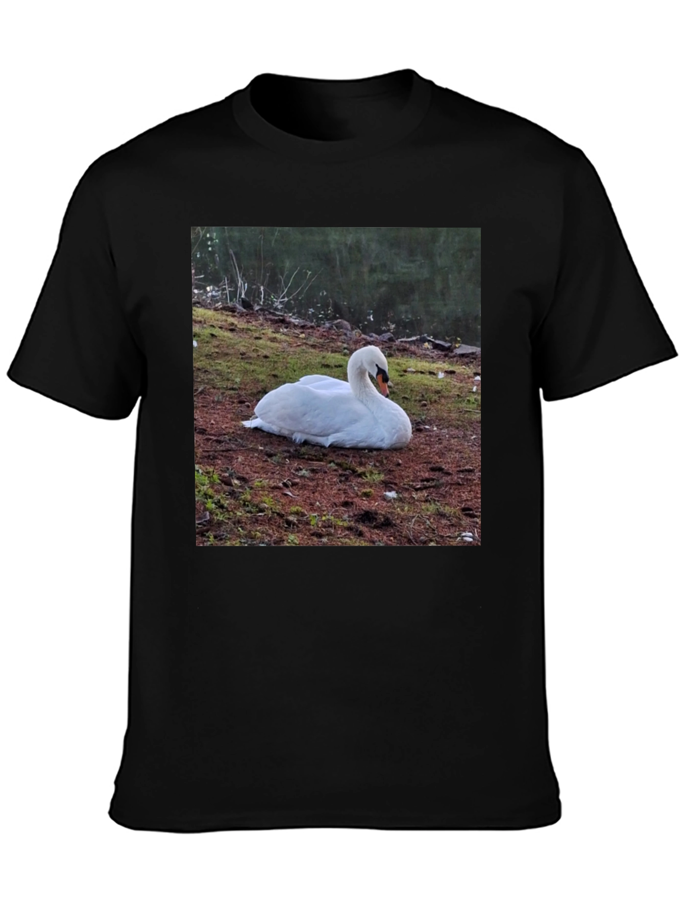 Swan Graphic Tee - Unique Nature Lovers Shirt