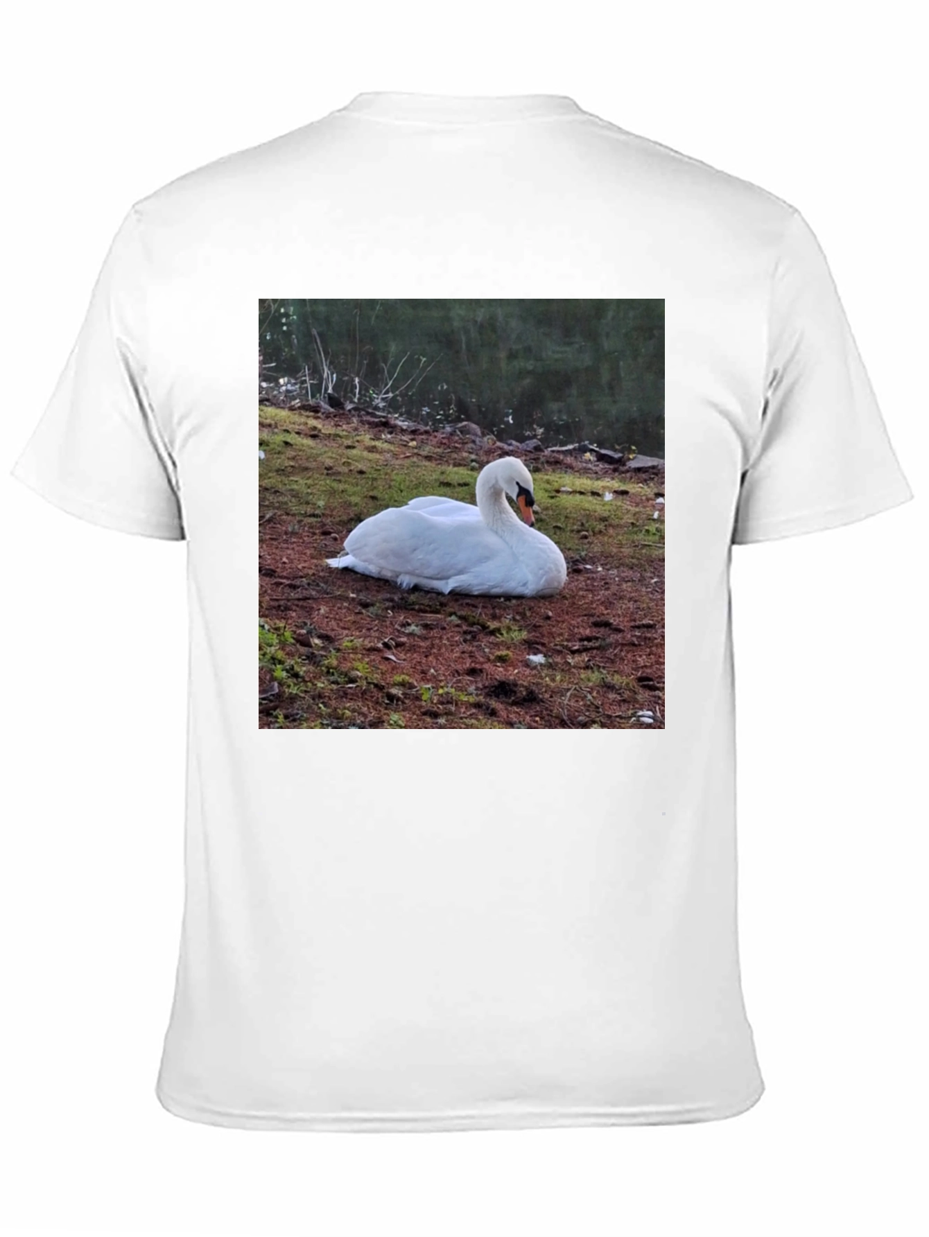 Swan Graphic Tee - Unique Nature Lovers Shirt