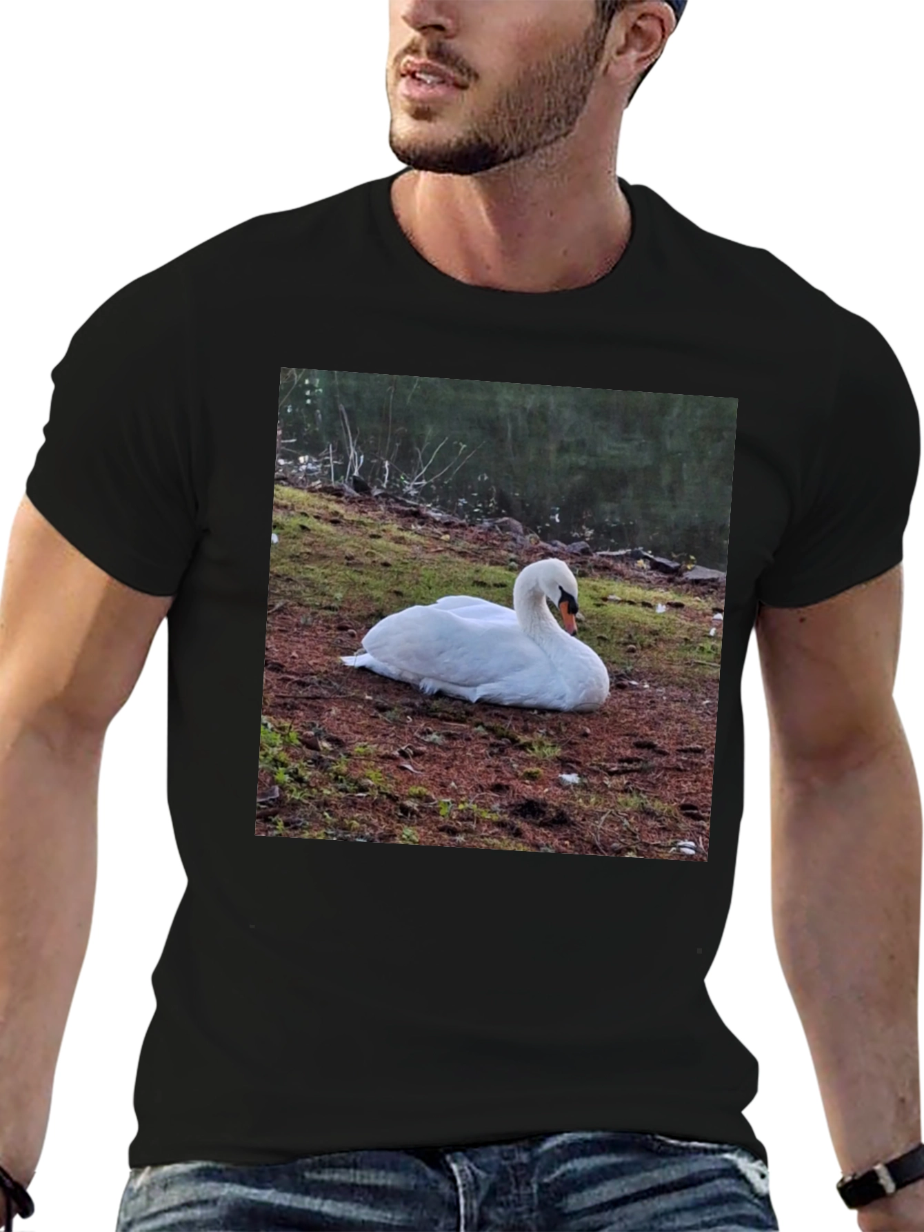 Swan Graphic Tee - Unique Nature Lovers Shirt