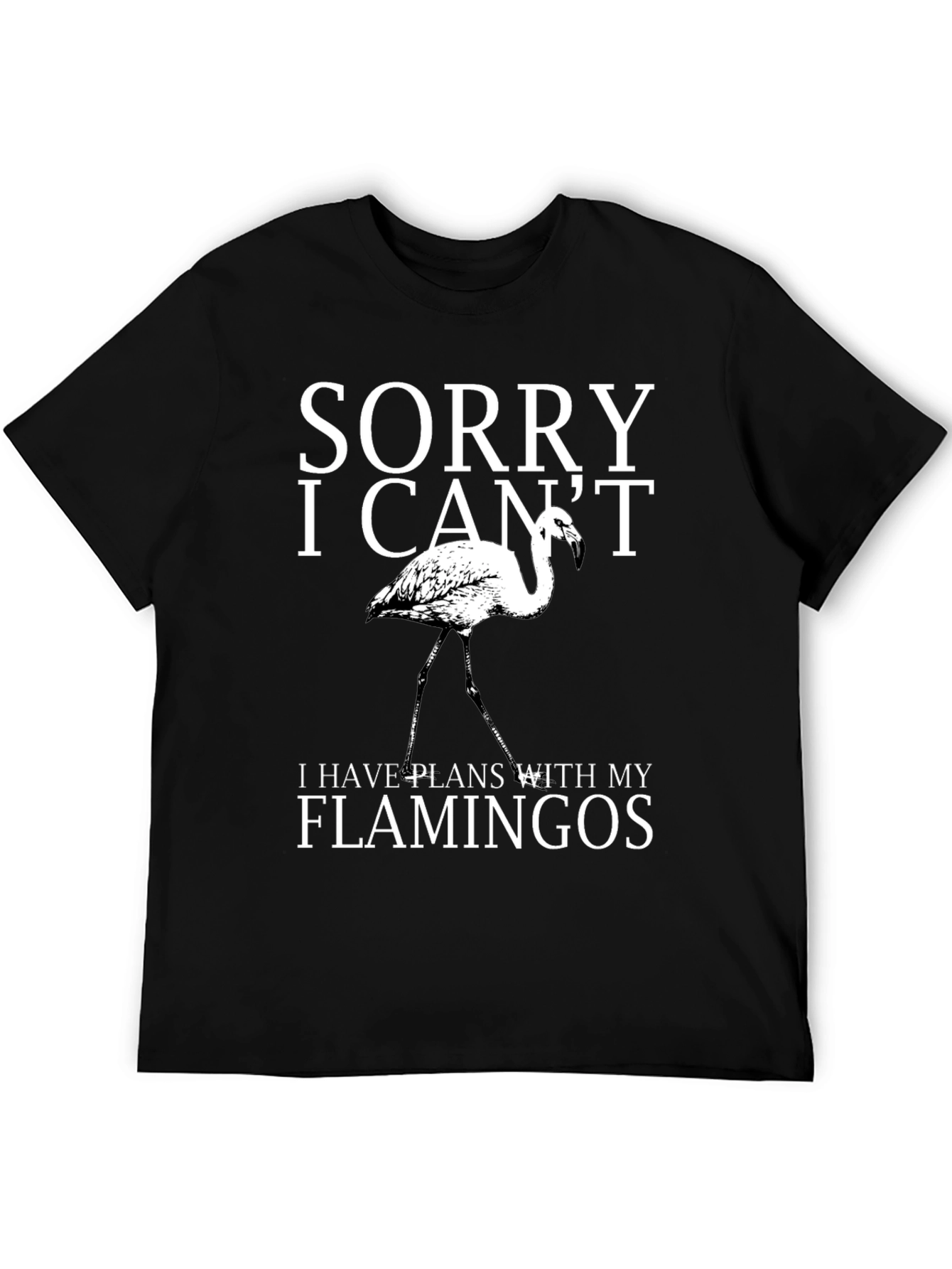Sorry I Cant Flamingos Graphic Tee